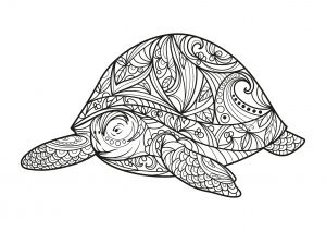 Große Schildkröte (Ausmalbild von Schildkröten)