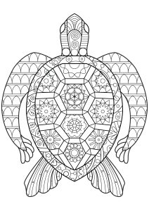 Geometrisch geformte Schildkröte (Ausmalbild von Schildkröten)