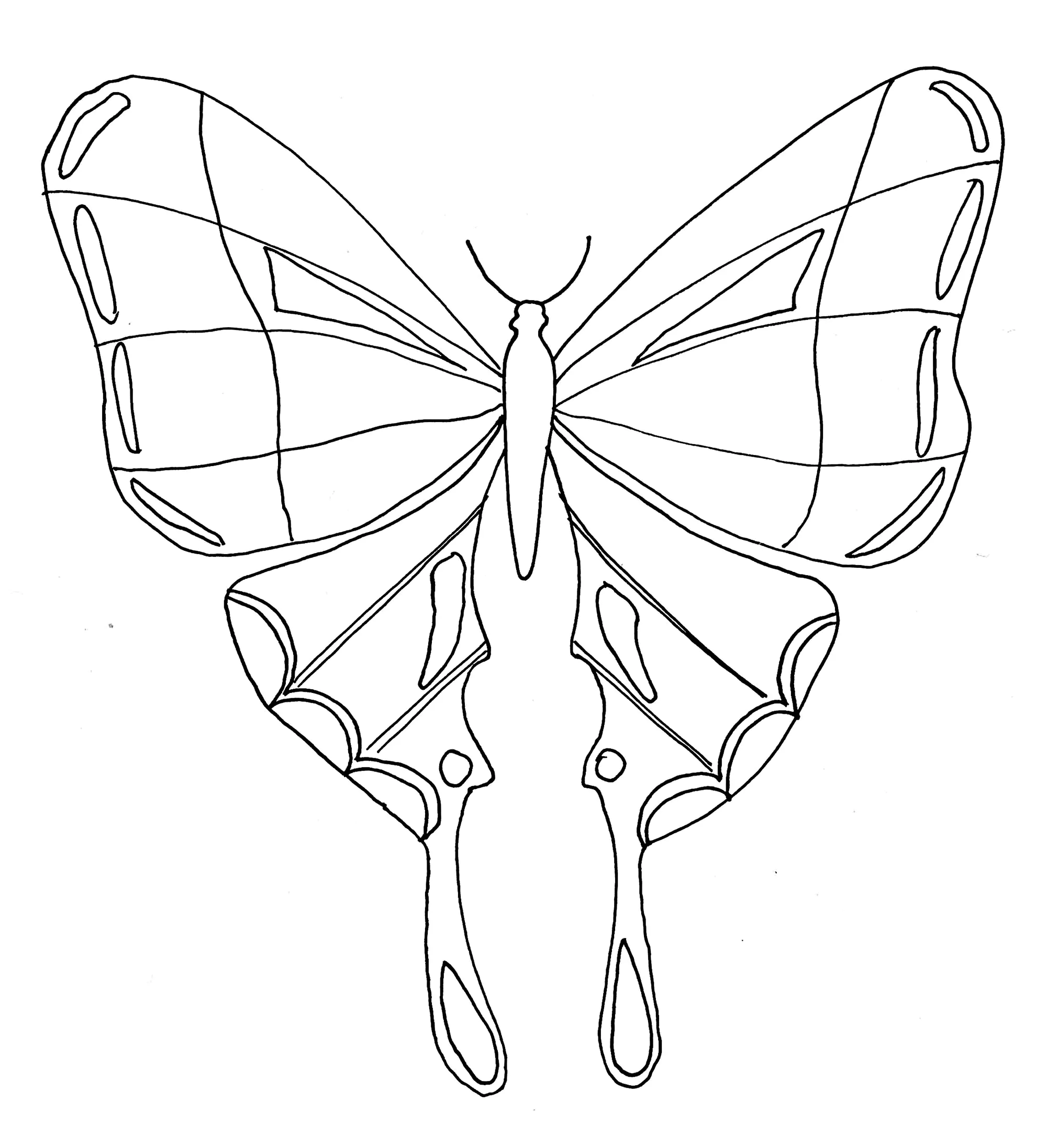 Schmetterling-Collage (Ausmalbild von Schmetterlinge zum Ausdrucken und Ausmalen für Kinder)