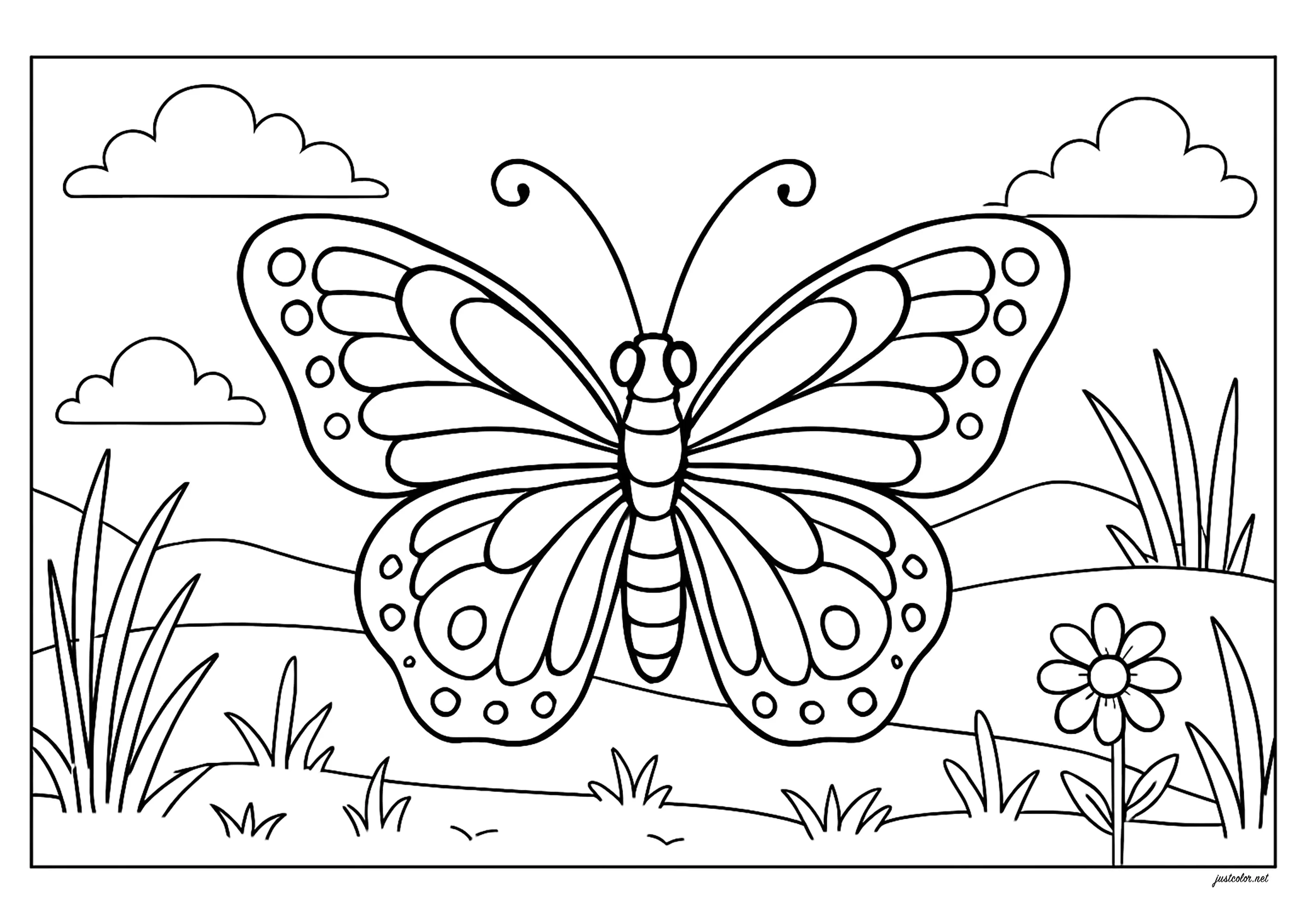 Wunderschöner Schmetterling mit Flügeln voller einfacher und schöner Muster (Ausmalbild von Schmetterlinge zum Ausdrucken und Ausmalen für Kinder)