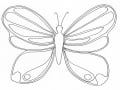 Schmetterlinge kostenlos zum Ausmalen