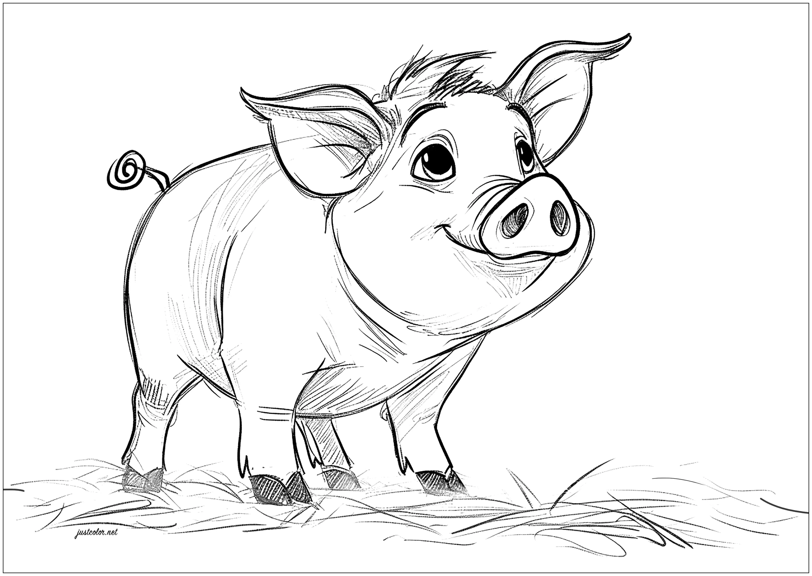 Einfache Zeichnung eines Schweins zum Ausmalen (Schweine)