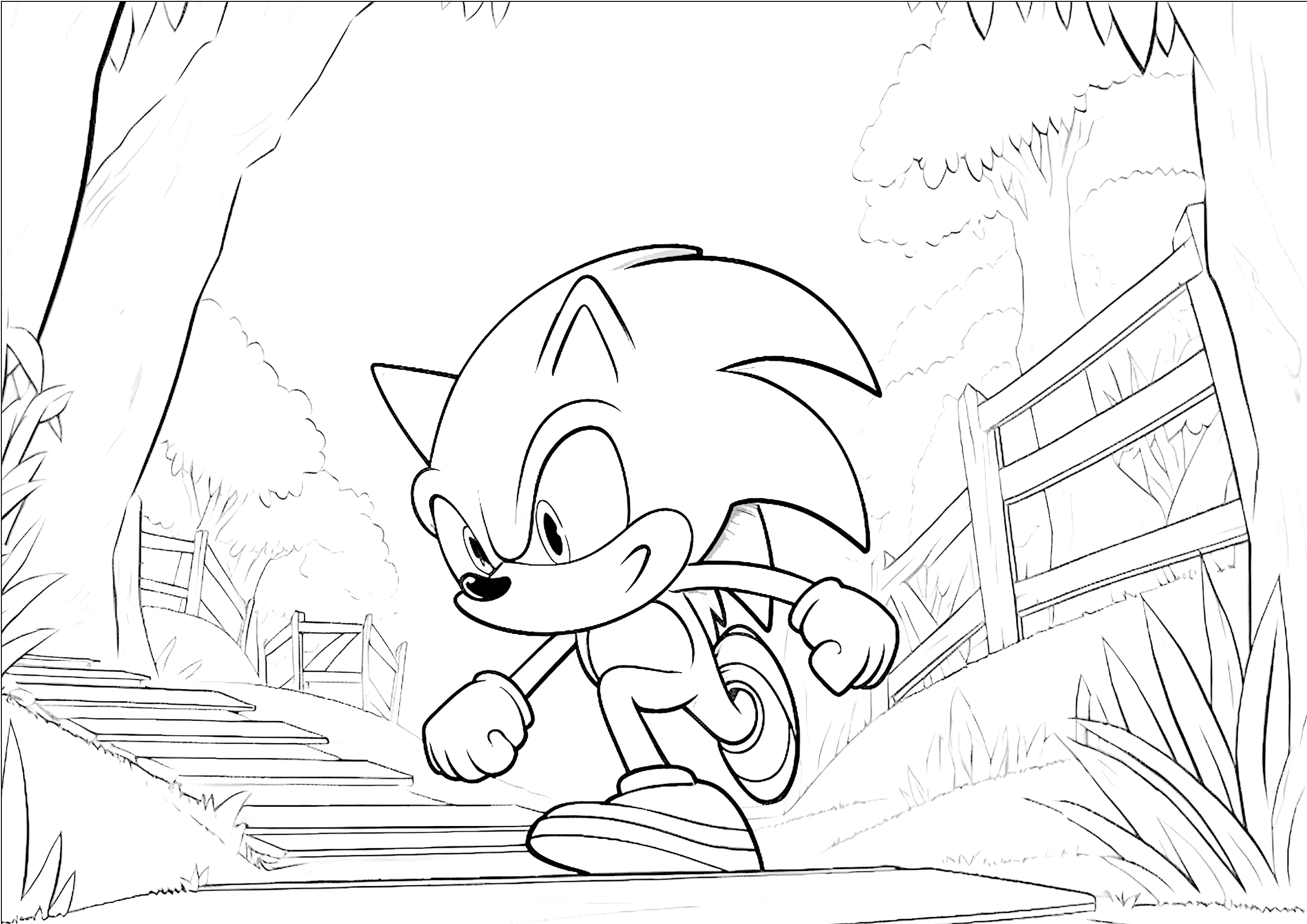 Sonic läuft durch einen Wald. (Ausmalbild zum Ausdrucken und Ausmalen für Kinder)
