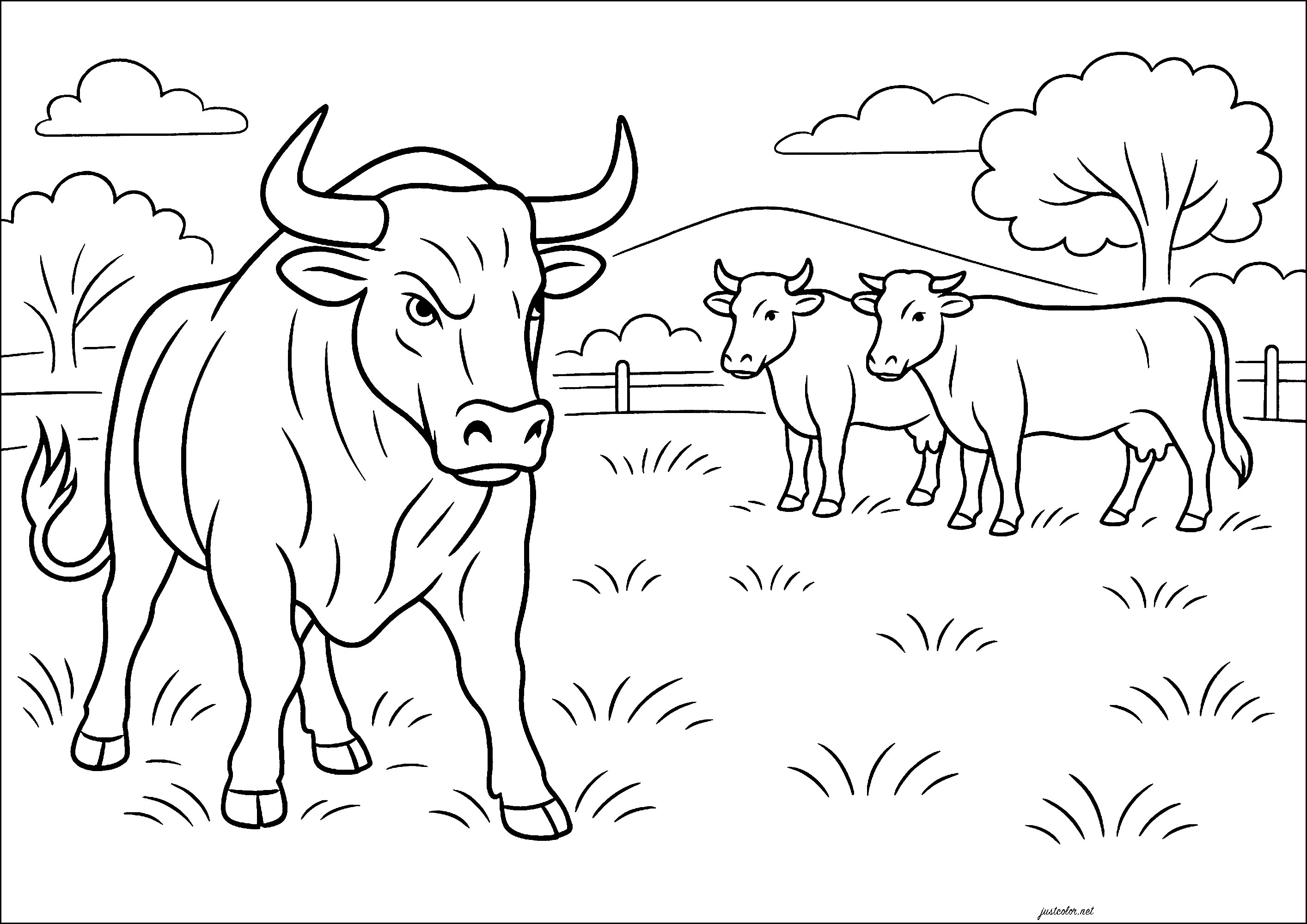 Stier mit bedrohlichem Aussehen und zwei Kühe (Ausmalbild zum Ausdrucken und Ausmalen für Kinder)