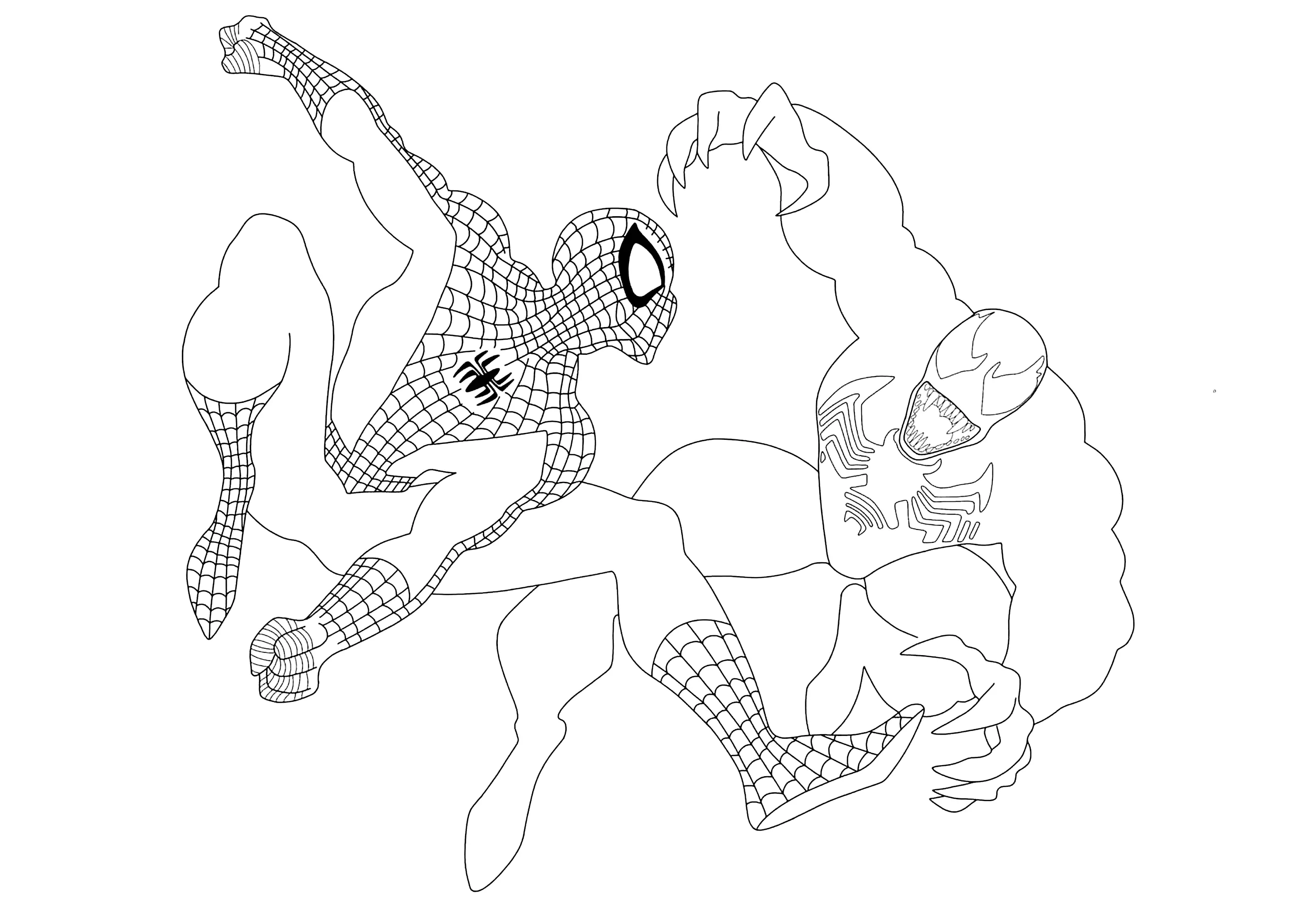 Die Konfrontation zwischen Spider-Man und Venom. (Ausmalbild zum Ausdrucken und Ausmalen für Kinder)