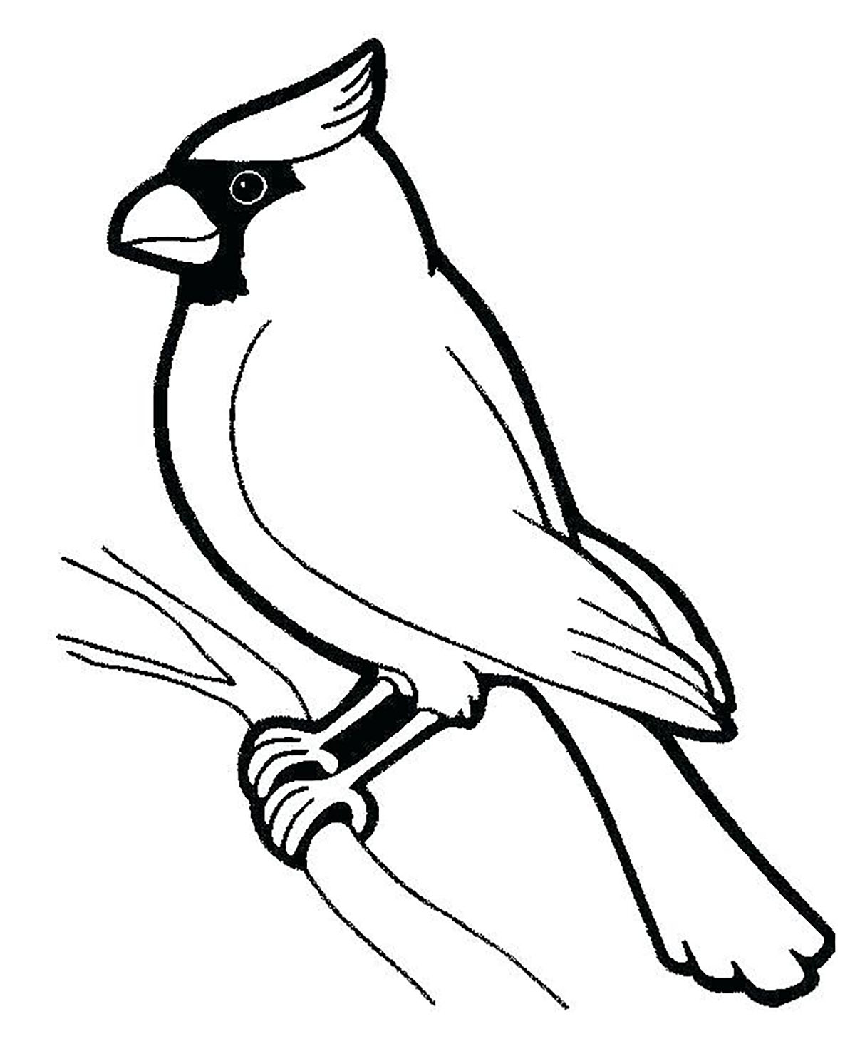 Vogel auf dem Ast (Ausmalbild zum Ausdrucken und Ausmalen für Kinder)