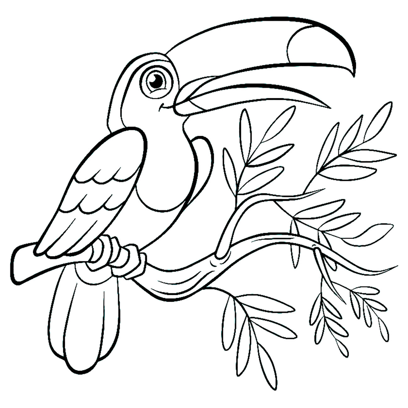 Tukan (Ausmalbild von Vögel zum Ausdrucken und Ausmalen für Kinder)