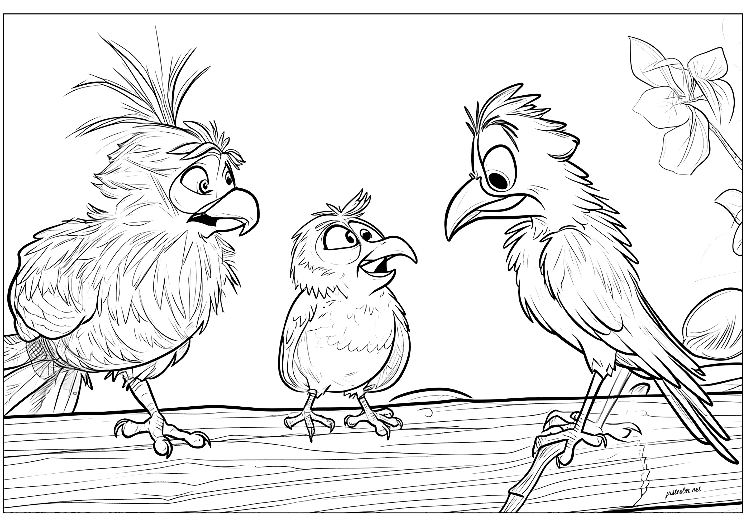 Drei lustige Vögel auf einem Ast (Ausmalbild zum Ausdrucken und Ausmalen für Kinder)
