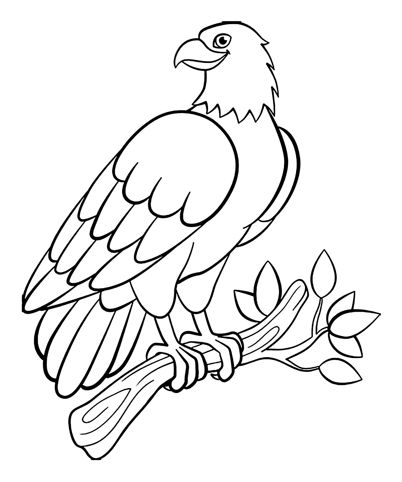 Das Ausmalen eines schönen Adlers auf einem Ast! (Vögel)