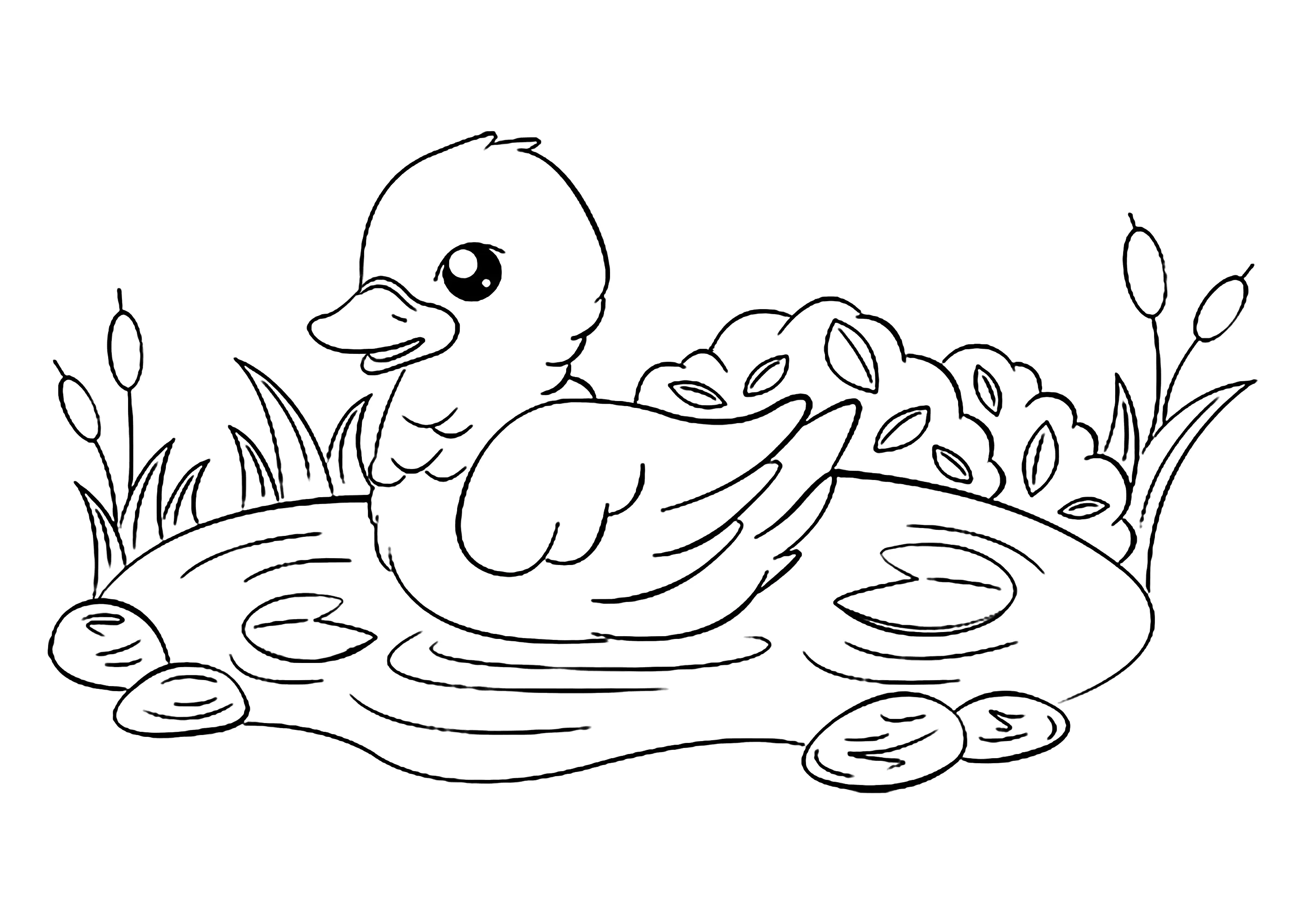 Kleines Entchen in einem Teich (Ausmalbild von Vögel zum Ausdrucken und Ausmalen für Kinder)