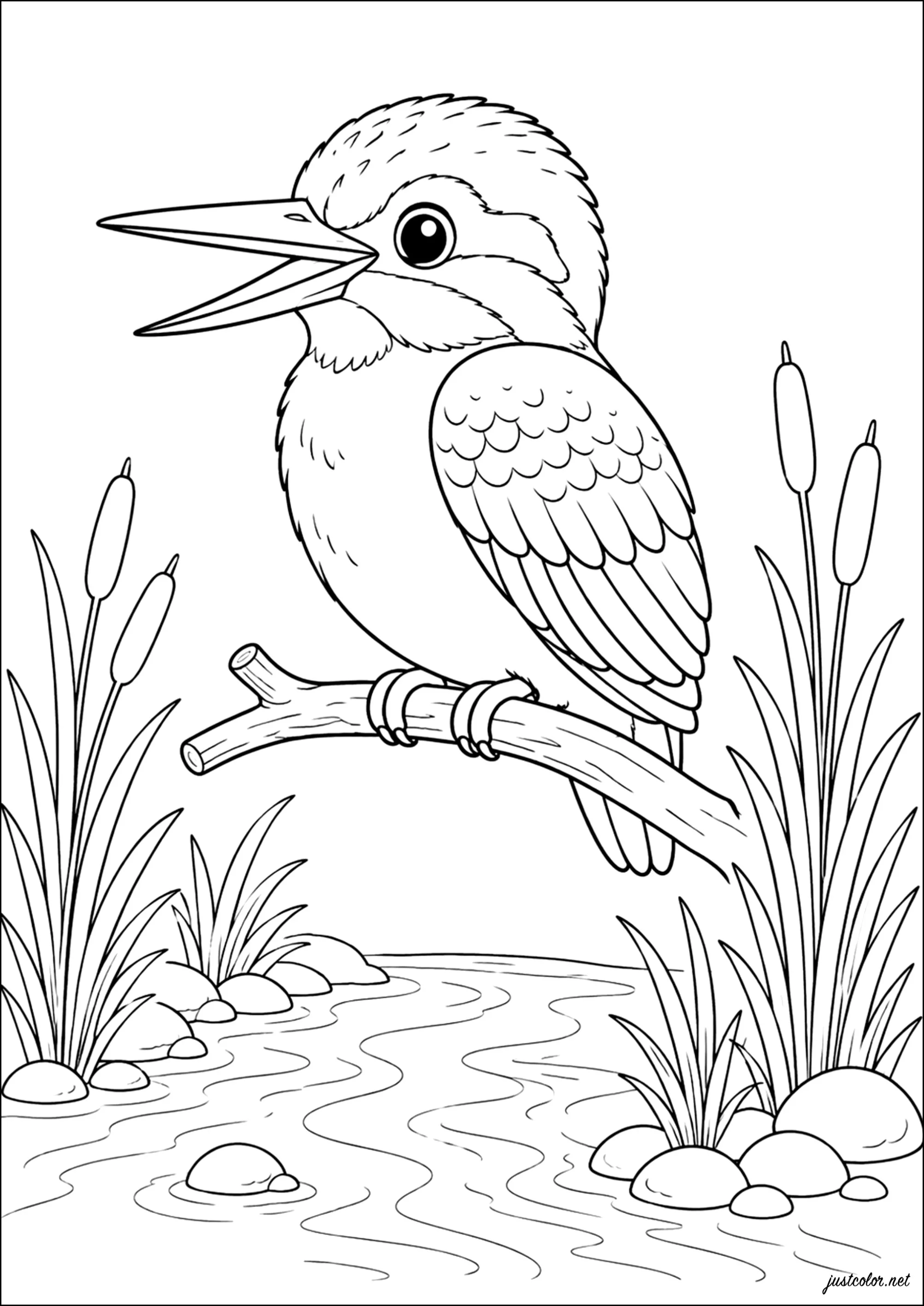 Eisvogel sitzt auf einem Ast (Ausmalbild von Vögel zum Ausdrucken und Ausmalen für Kinder)