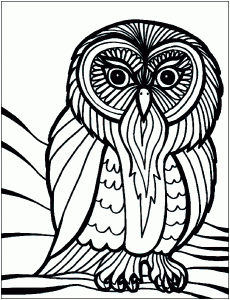 Eule (Ausmalbild von Vögel)