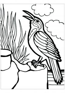 Vogel am Meer (Ausmalbild)