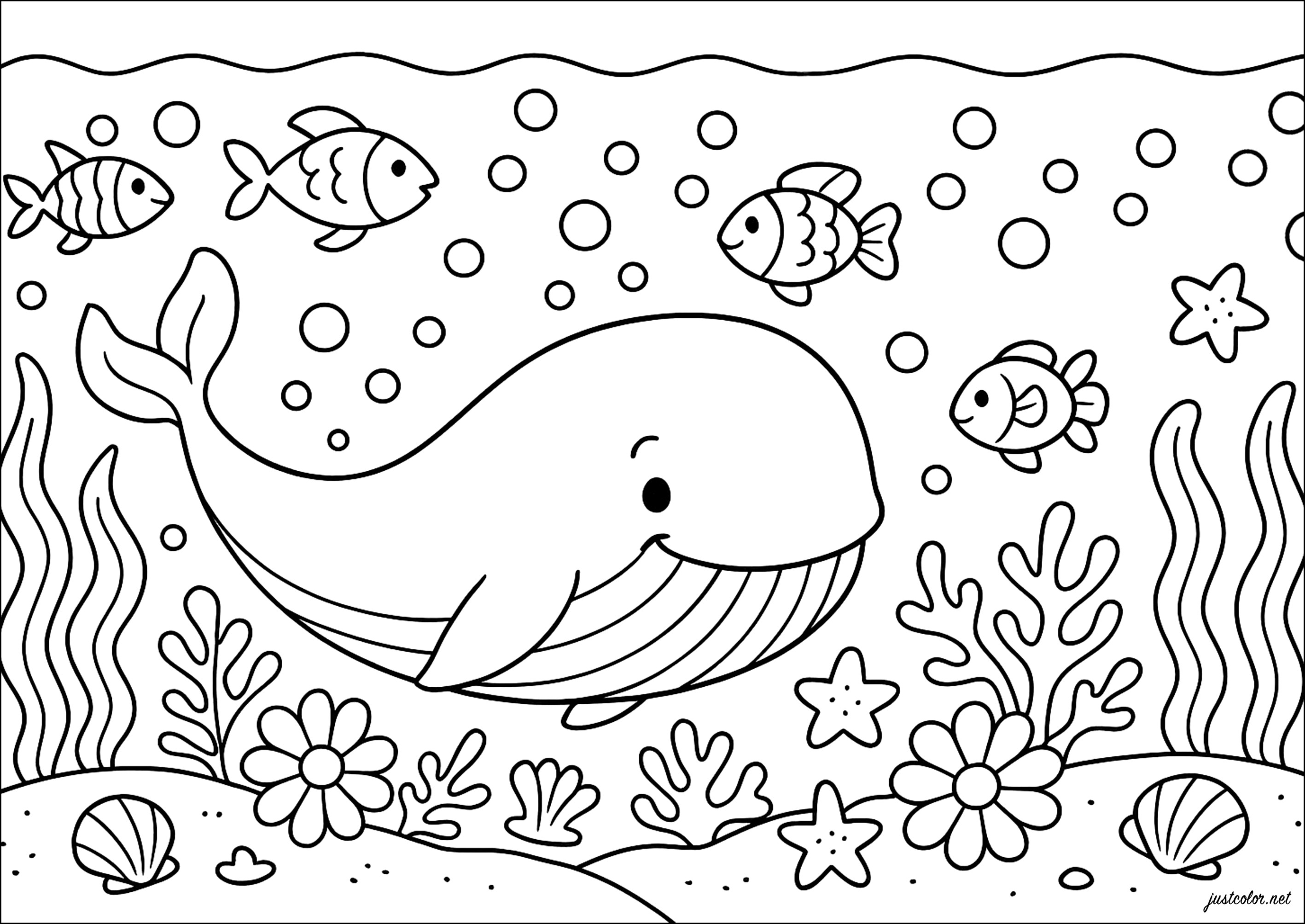 Blauwal und Fische (Ausmalbild von Wale zum Ausdrucken und Ausmalen für Kinder)