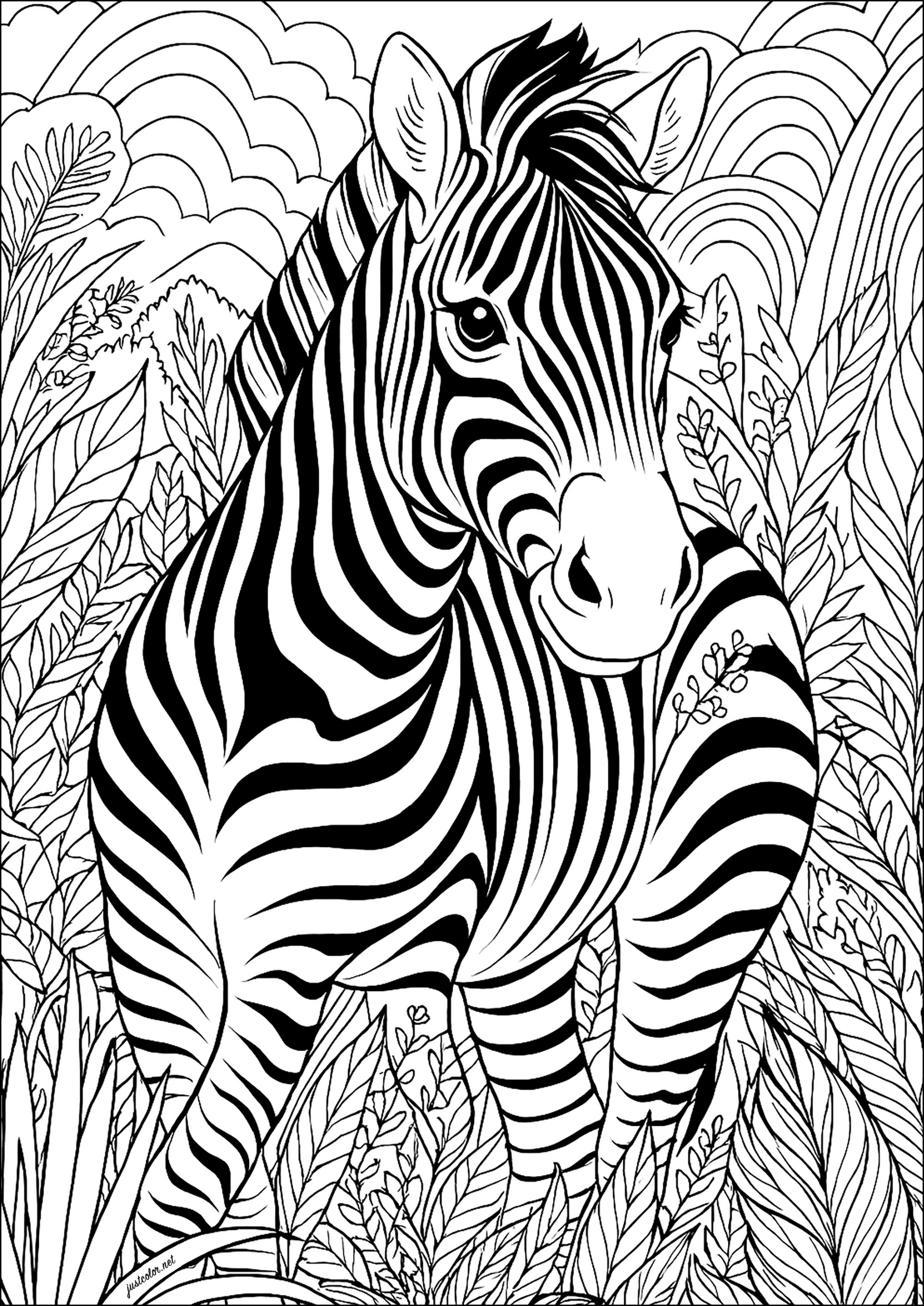 Zebra in der Vegetation (Ausmalbild zum Ausdrucken und Ausmalen für Kinder)