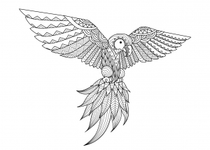 Hübscher Papagei (Ausmalbild von Zentangle)