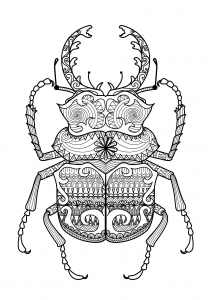 Coloriage Zentangle des Käfers (Ausmalbild)
