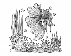 Zentangle zum Ausmalen: Fisch auf Korallen von Bimdeedee.