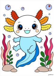 Werk von Anonym nach Netter Axolotl im Wasser