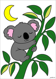 匿名 根据《Koala schlafend unter dem Mond》创作
