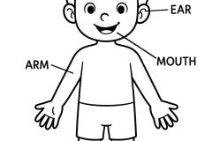 Páginas de Cuerpo humano para imprimir para niños