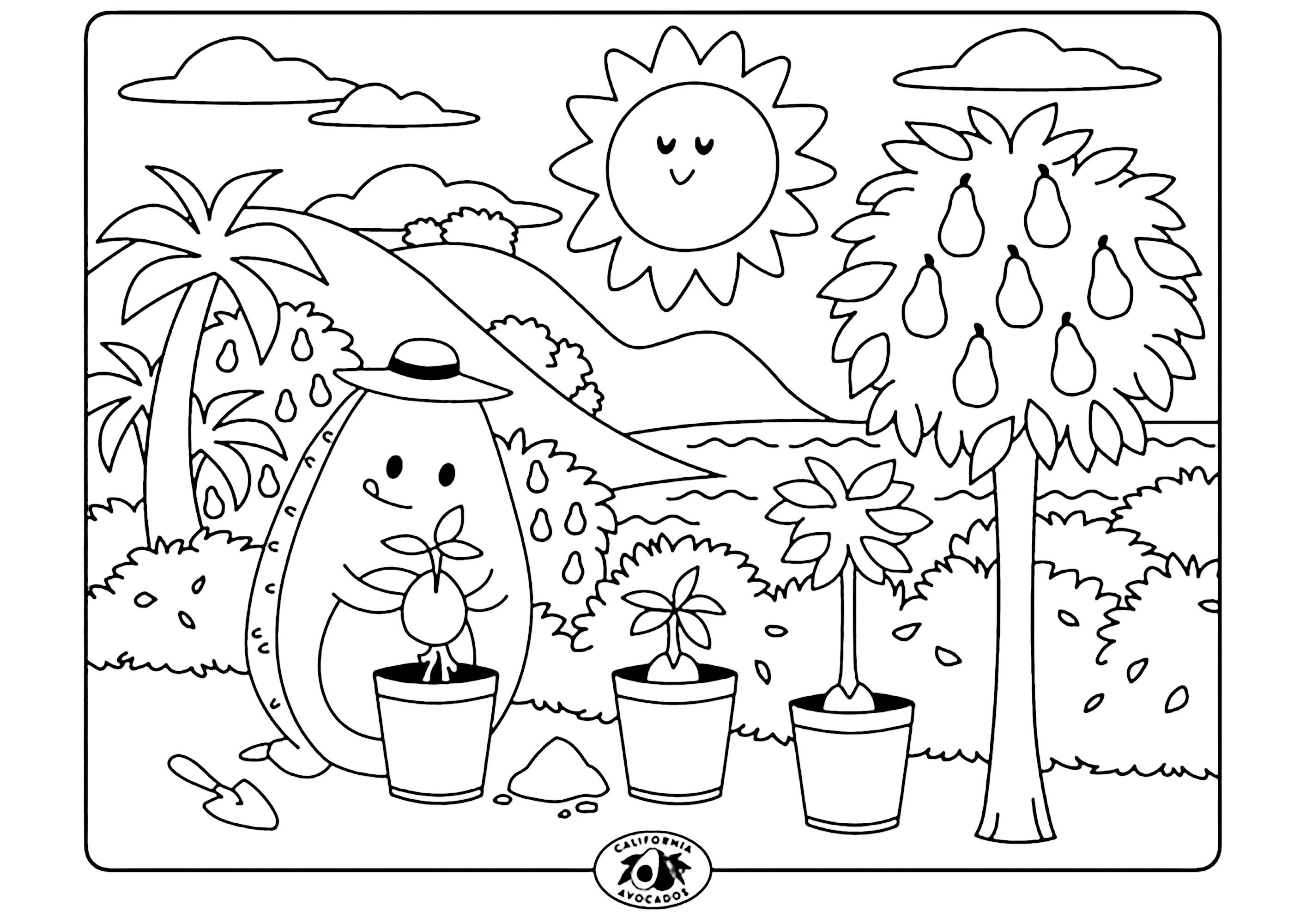 Página de para imprimir : Núcleos de plantación Aguacate ... de Aguacate Página de para imprimir para niños : Núcleos de plantación Aguacate ... de Aguacate