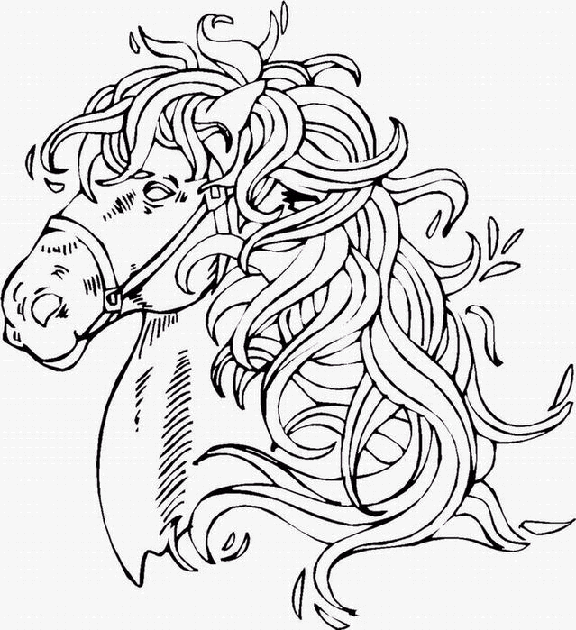 Colorear Caballos para niños (Página para imprimir para niños)