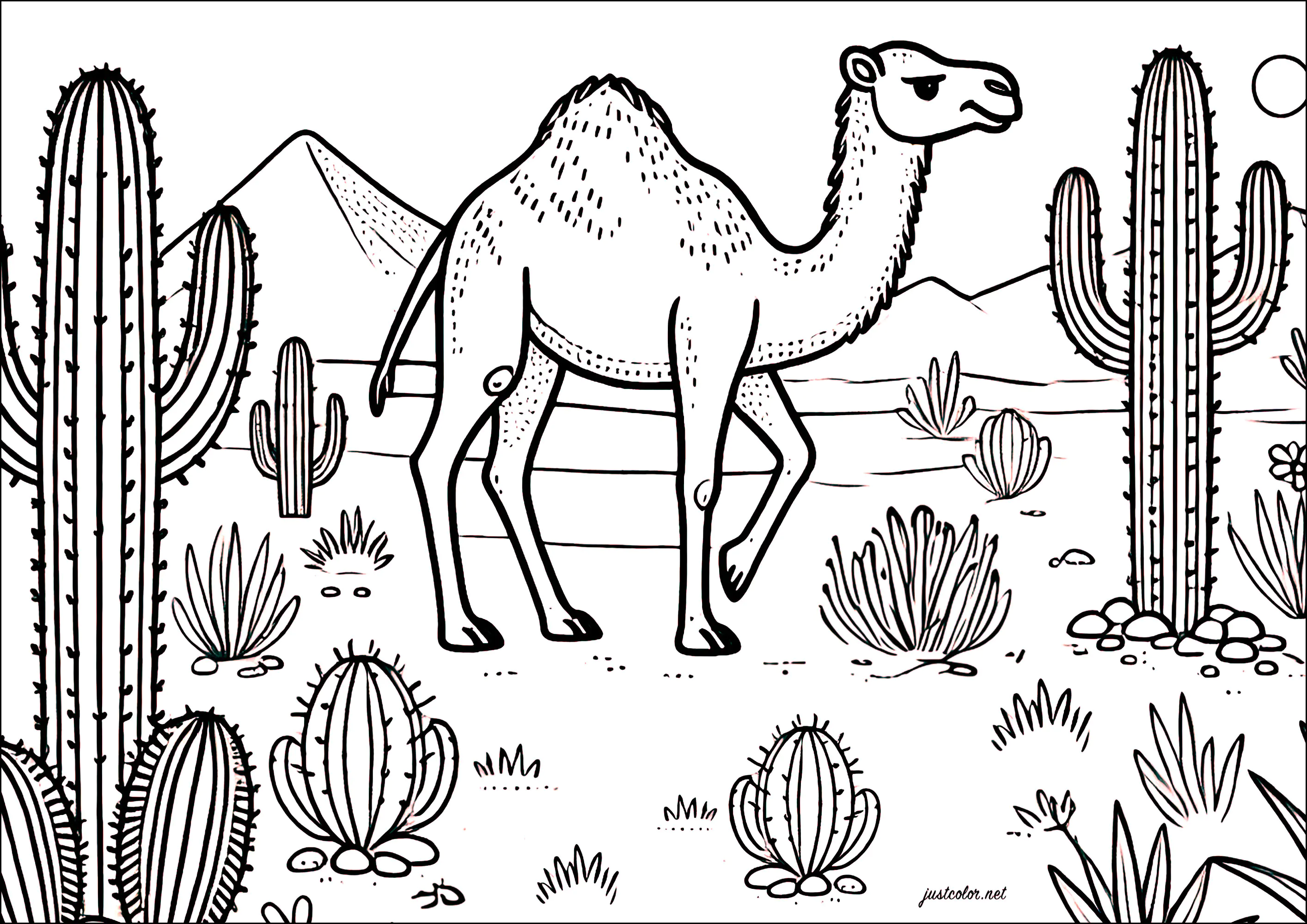 Dromedario y cactus en el desierto (Página de Camellos y dromedarios para imprimir para niños)