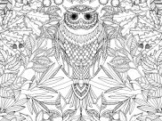Dibujos de Páginas para colorear para adultos para colorear