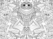 Dibujos de Páginas para colorear para adultos para colorear