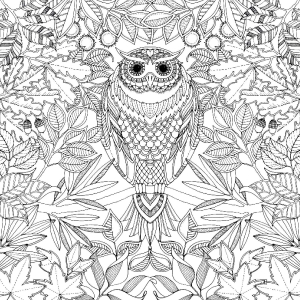 Dibujos para colorear de Páginas para colorear para adultos para niños