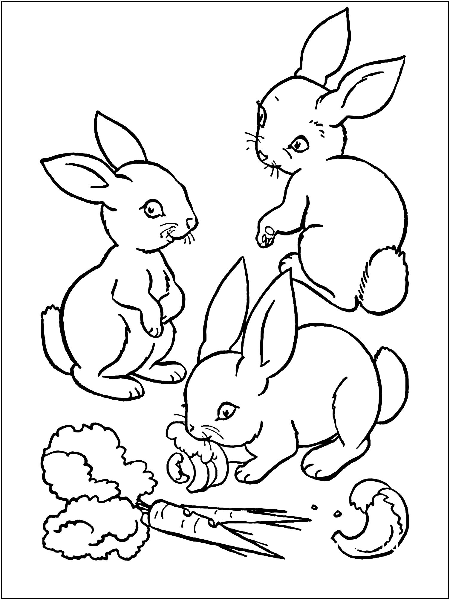 Dibujos para colorear fáciles de Conejo para niños