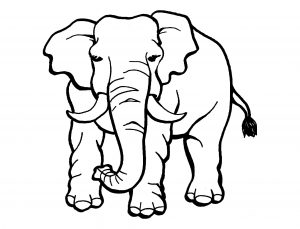 Dibujo de elefante para imprimir y colorear