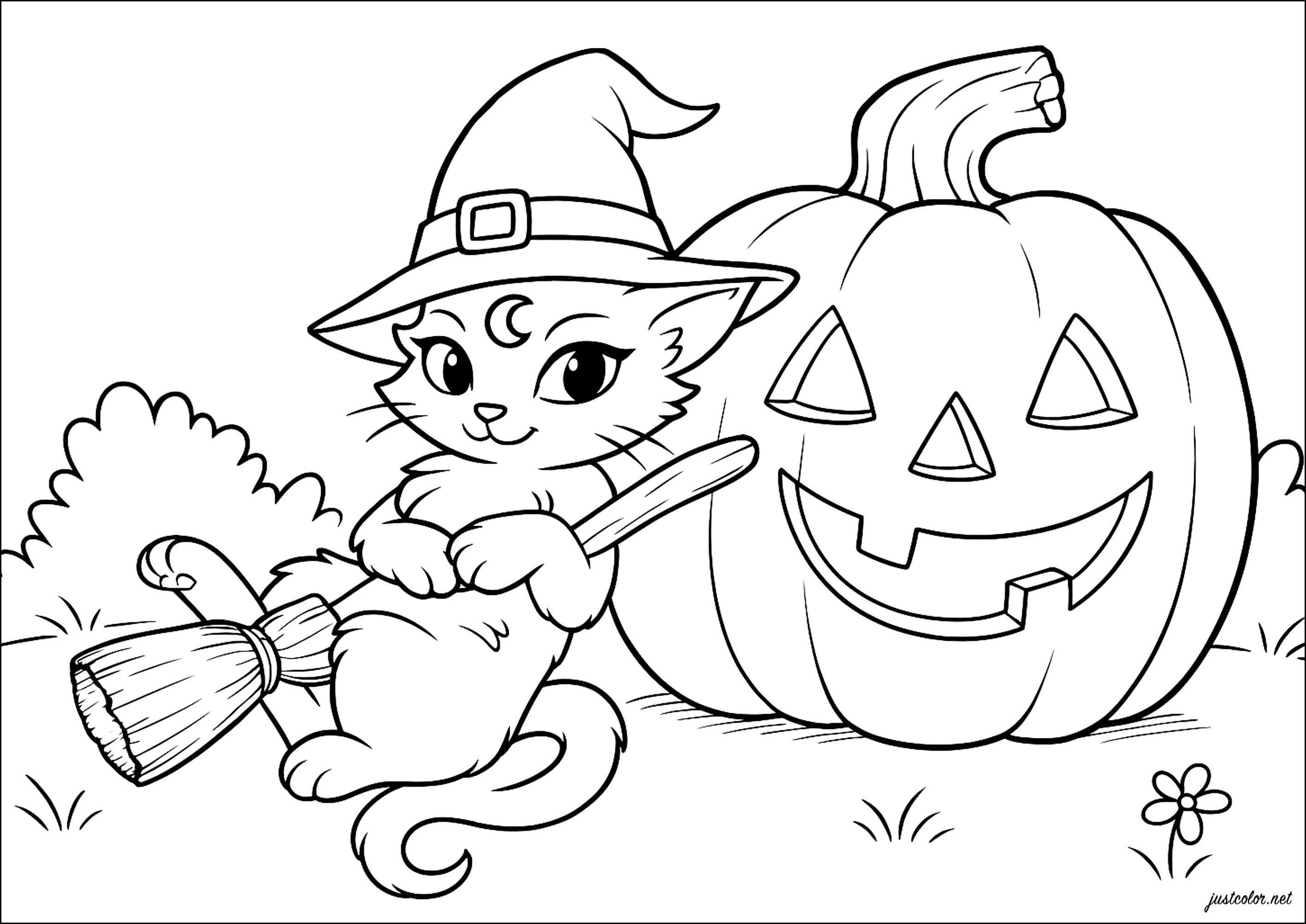 Gato mágico y calabaza sonriente (Página de Halloween para imprimir para niños)