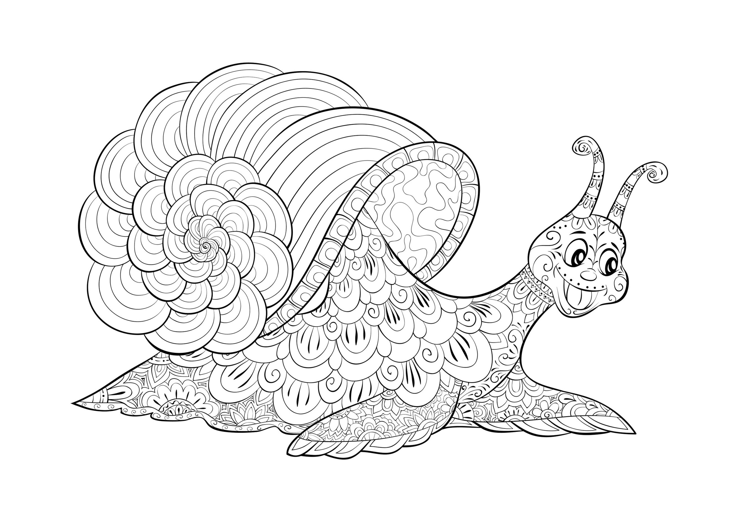 Escargot rigolo - Esta imagen contiene : Caracol