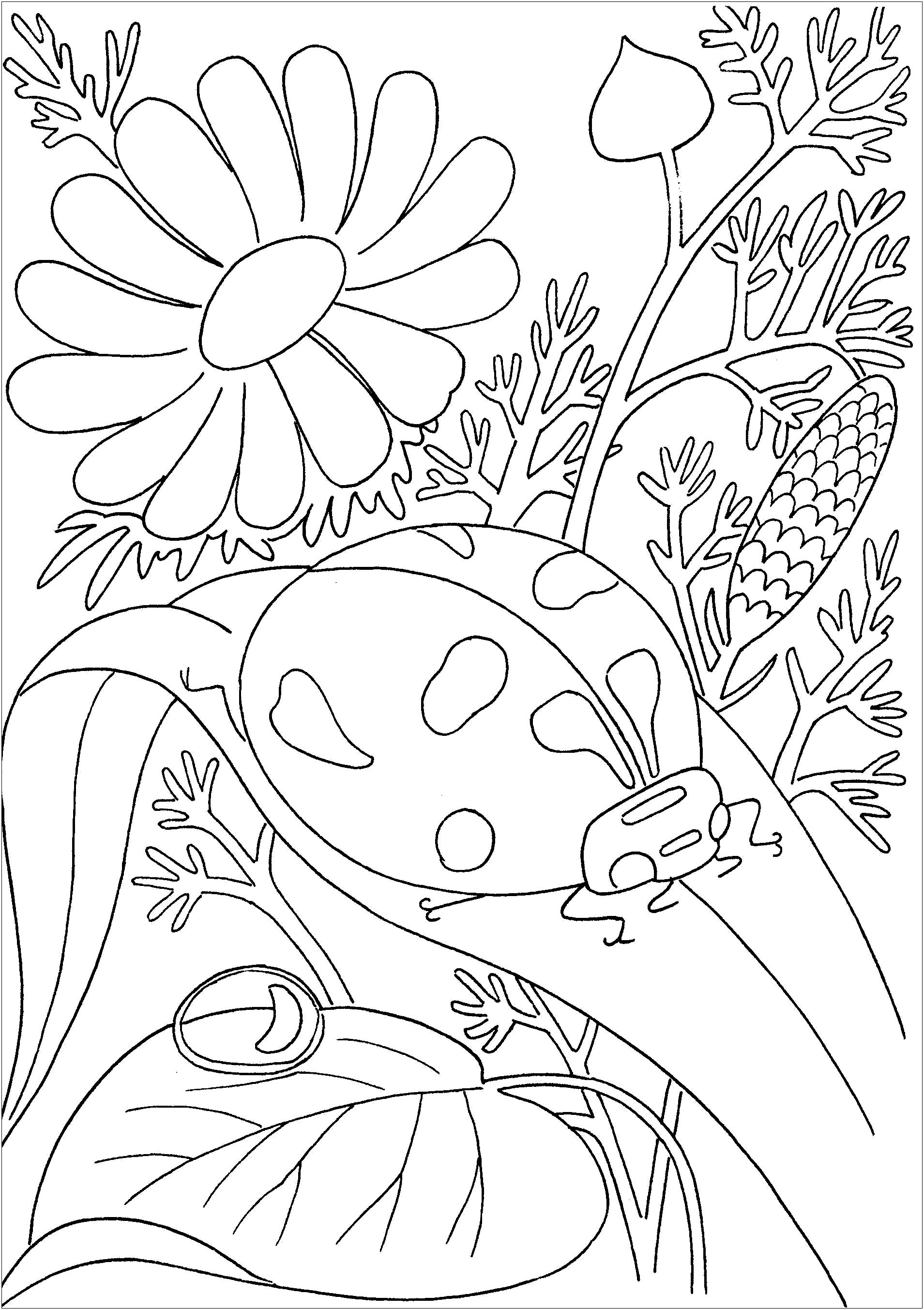 La mariquita camina sobre su rama rodeada de flores.