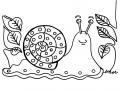 Simple Dibujos para niños para colorear de Insectos
