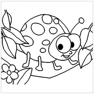 Página de Insectos para imprimir para niños : Pequeña mariquita