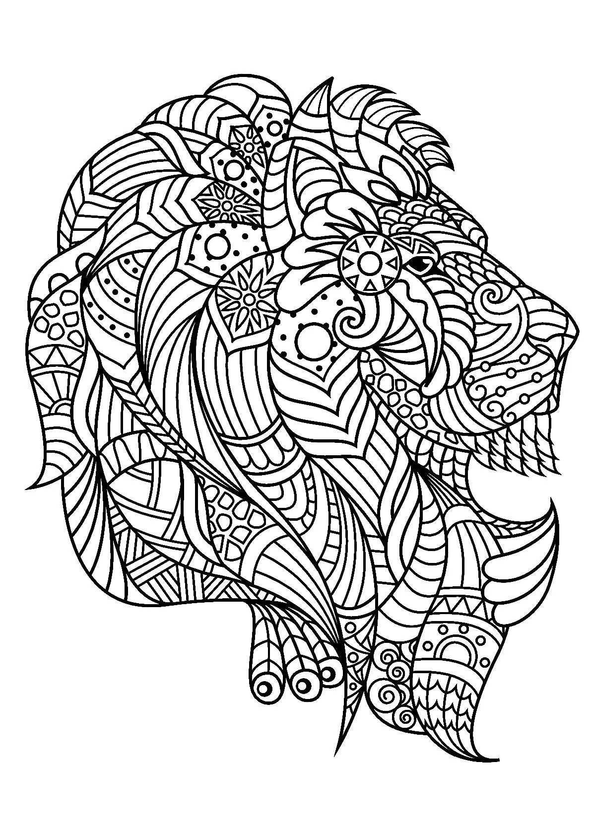 Tête de León de profil (Página para imprimir para niños)
