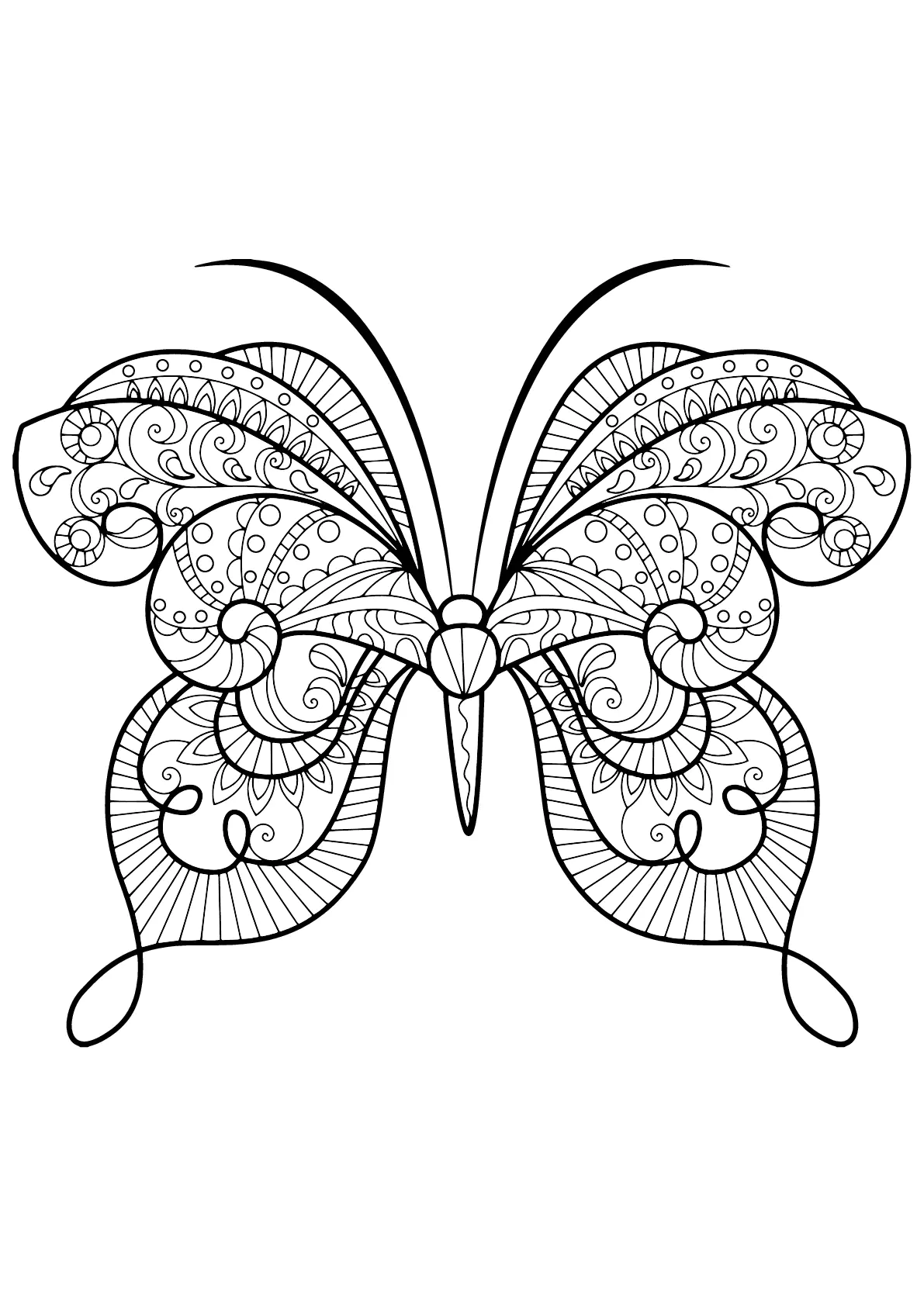Mariposa con bellos e intrincados dibujos - 15 (Página para imprimir para niños)