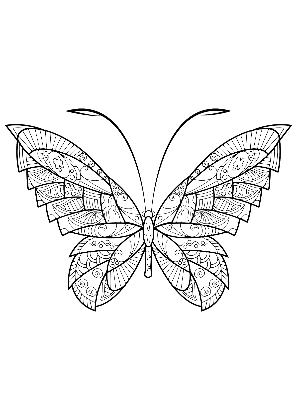 Mariposa con bellos e intrincados dibujos - 17 (Página para imprimir para niños)