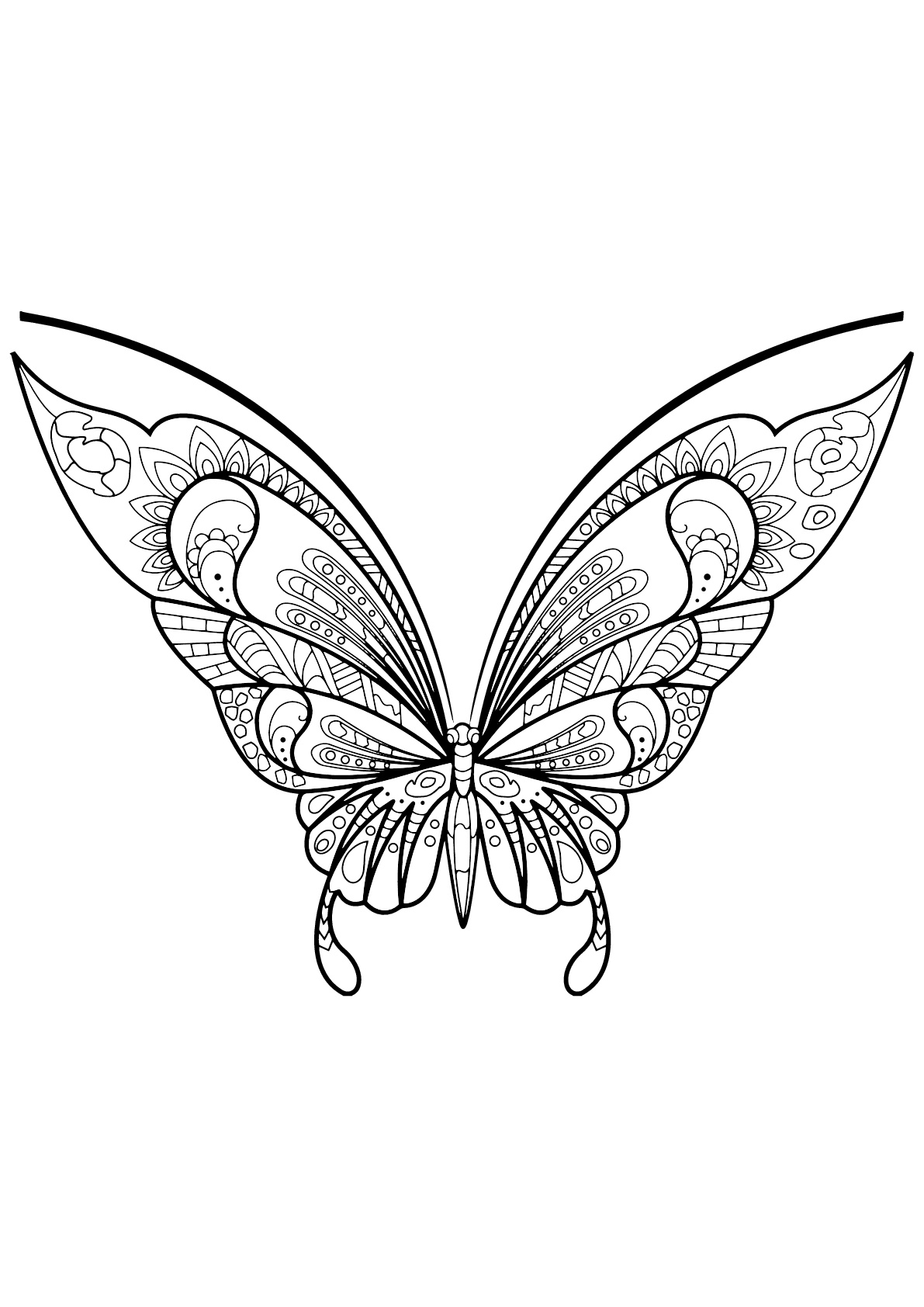 Mariposa con bellos e intrincados dibujos - 7