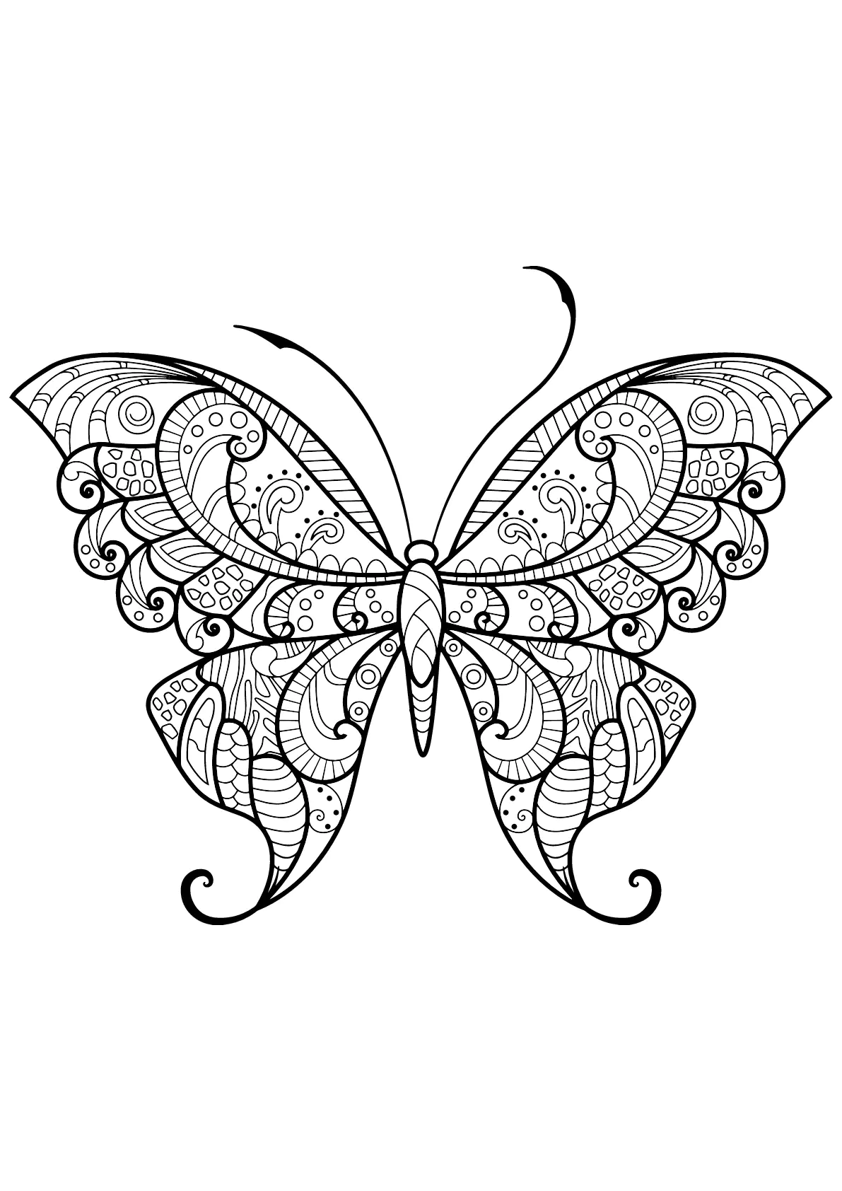 Dibujo gratuito de Mariposa para imprimir y colorear