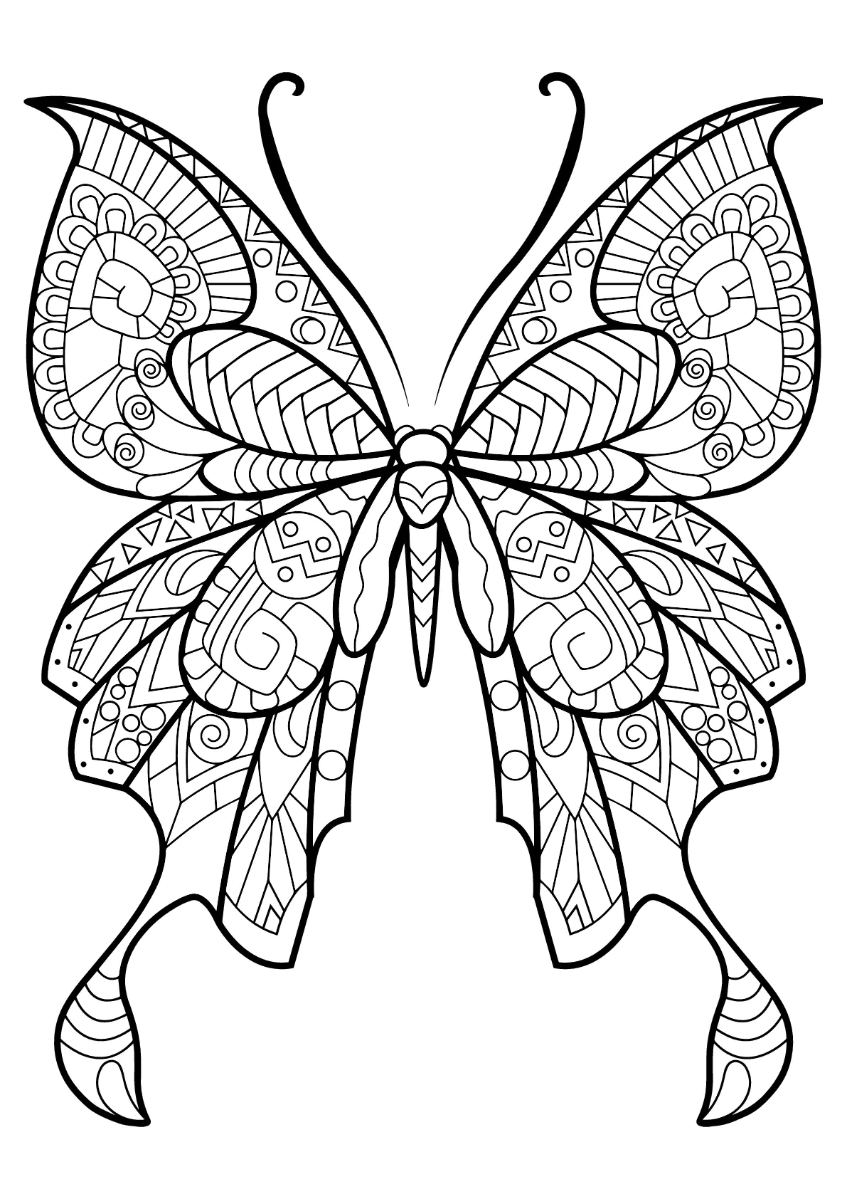 Colorear Mariposas para niños (Página para imprimir para niños)