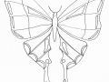 Dibujo gratuito de Mariposa para imprimir y colorear