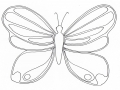 Dibujos para colorear de Mariposa