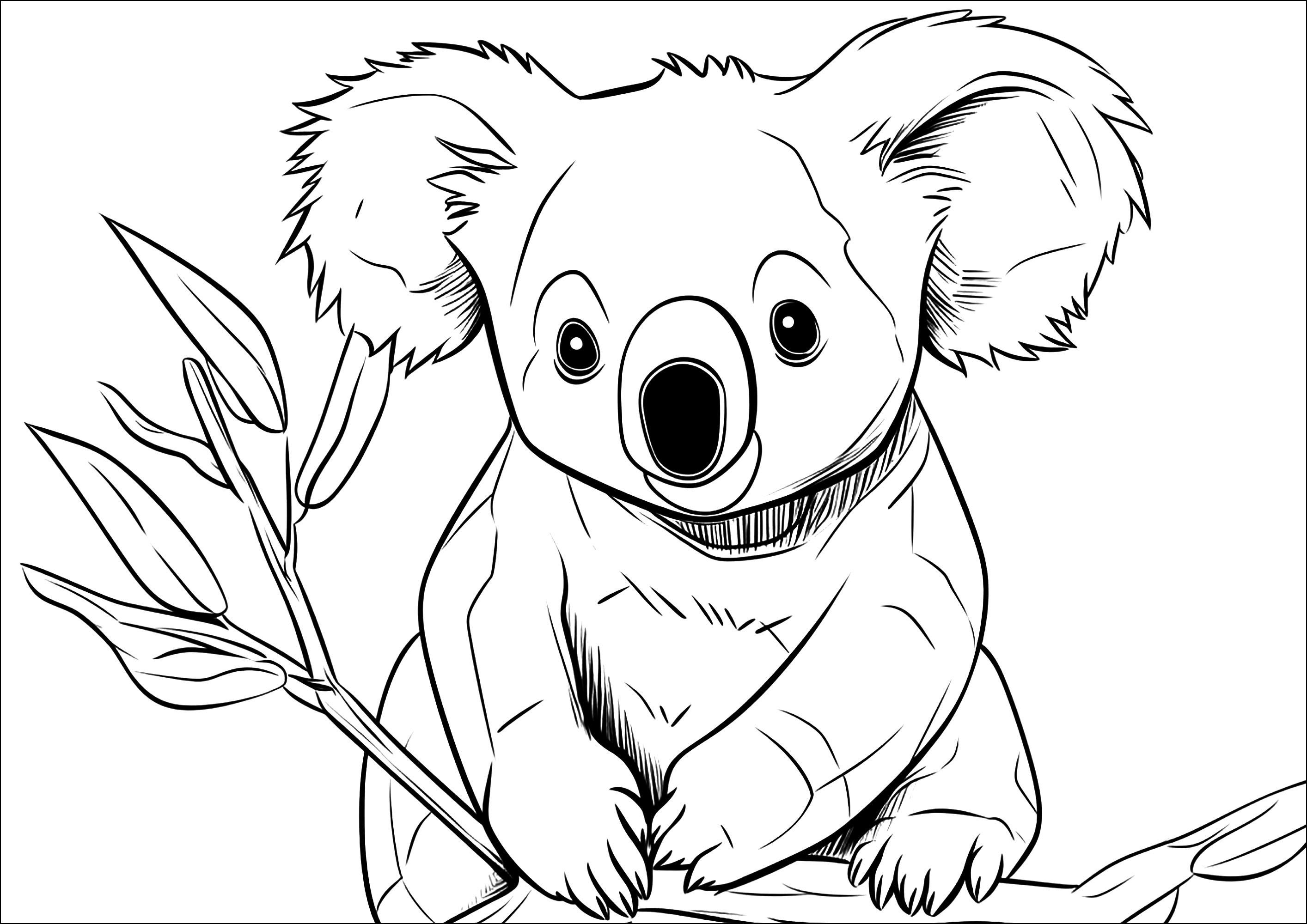 Dibujos para colorear para niños de Osos Koala para descargar