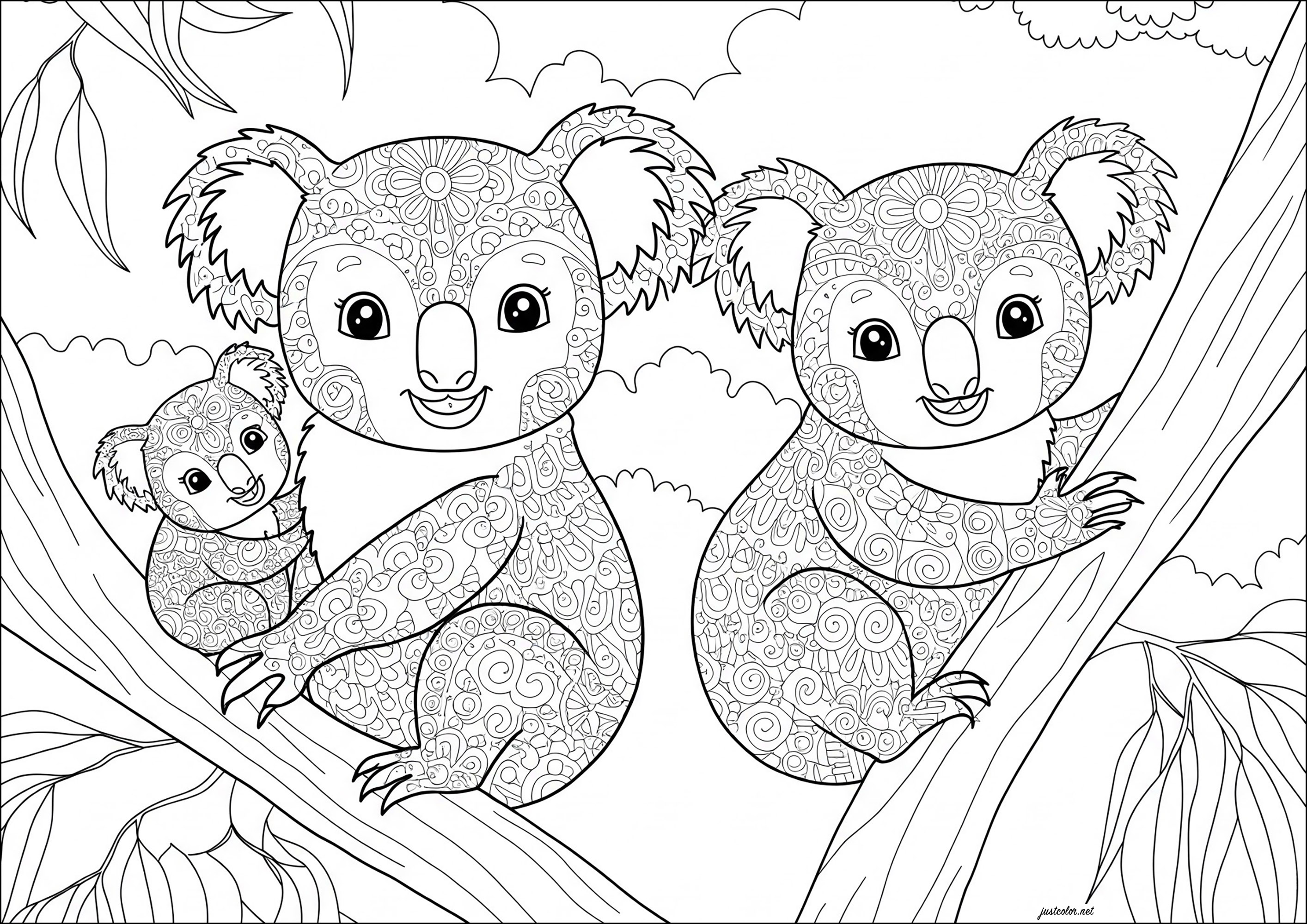 Familia koala, con dibujos para colorear (Osos Koala)