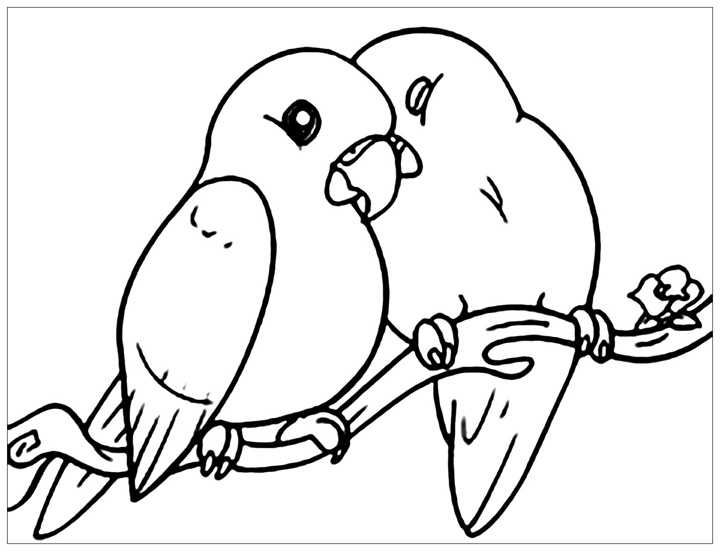 Estos pequeños Pájaros están perfectamente enamorados en su rama