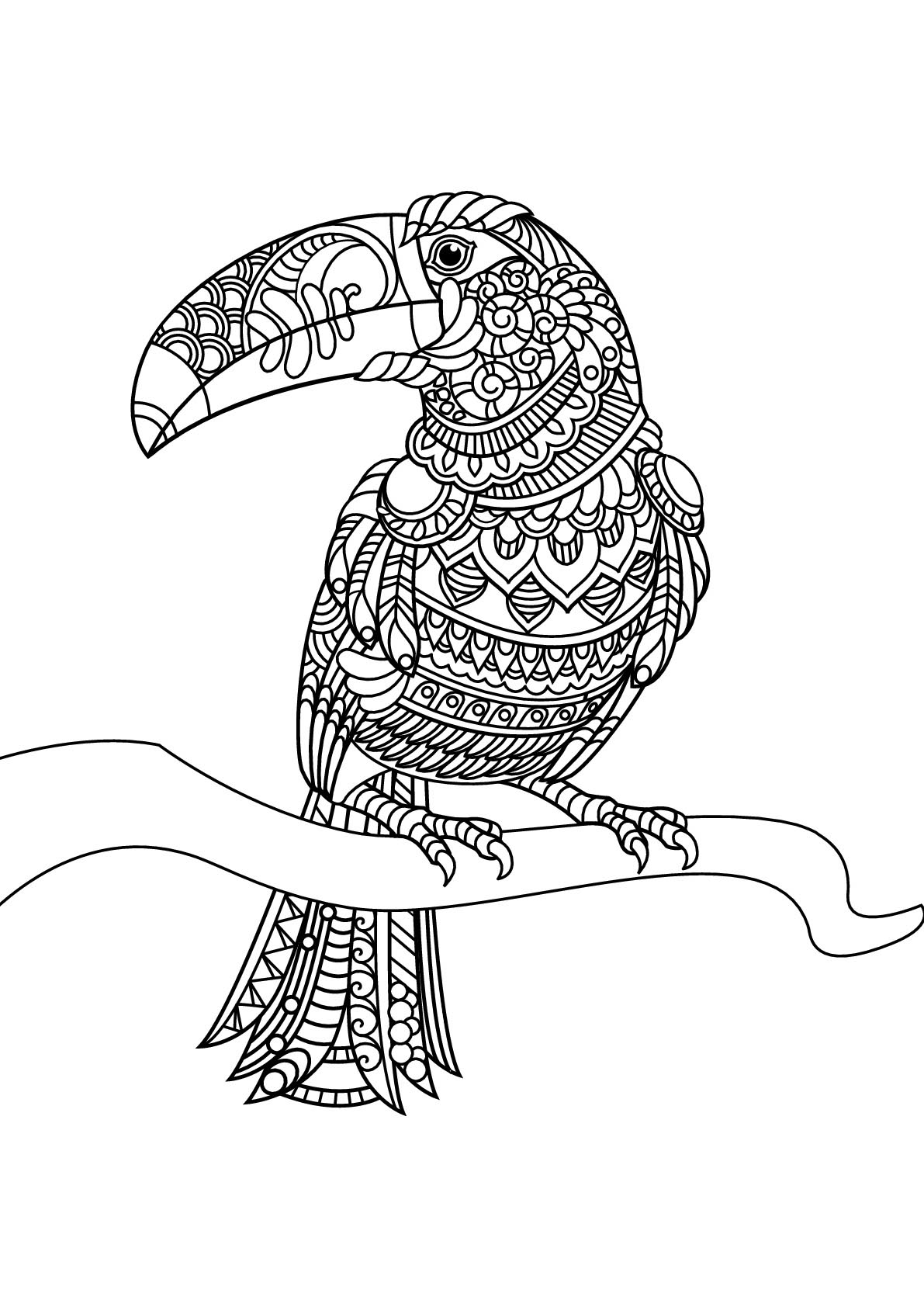 Dibujos para colorear de Pájaros para descargar